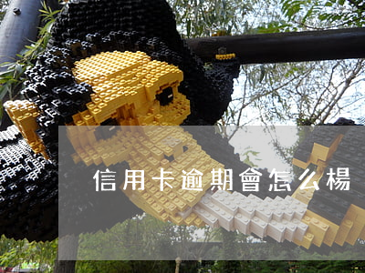 信用卡逾期會怎么楊