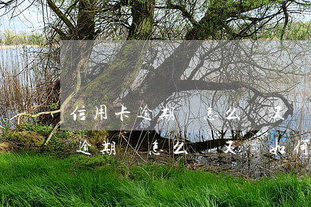 信用卡逾期會怎么樣又該如何避免-信用卡逾期會怎么樣又該如何避免逾期