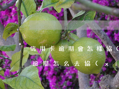 信用卡逾期會怎樣協(xié)商(欠信用卡逾期怎么去協(xié)商)