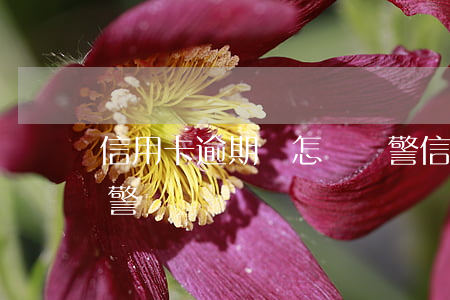 信用卡逾期會怎樣報警(信用卡逾期會怎樣報警)