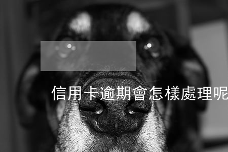 信用卡逾期會怎樣處理呢