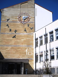 信用卡逾期會成失信人嗎(信用卡不逾期會影響征信嗎)