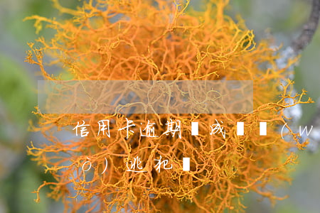 信用卡逾期會成為網(wǎng)絡(luò)逃犯嗎