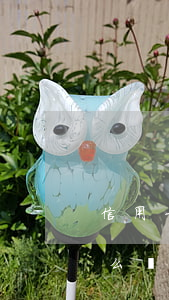 信用卡逾期會扣什么費用(信用卡逾期會扣什么費用)