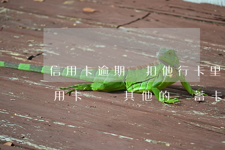 信用卡逾期會扣他行卡里的錢嗎-逾期的信用卡會從其他的儲蓄卡里扣嗎