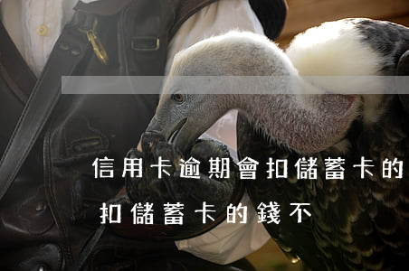 信用卡逾期會扣儲蓄卡的錢不(信用卡逾期會扣儲蓄卡的錢不)
