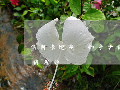 信用卡逾期會扣多少信用分(逾期一次扣多少信用分)