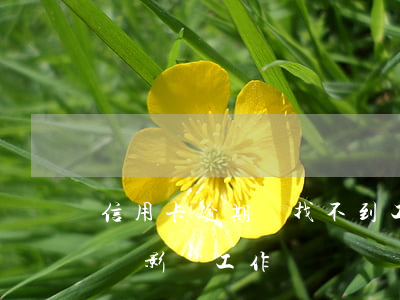 信用卡逾期會找不到工作嗎(我信用卡逾期了會影響工作嗎)