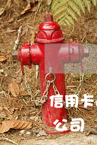 信用卡逾期會找到公司嗎(信用卡逾期會找到公司嗎怎么辦)