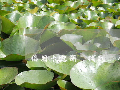 信用卡逾期會找到嗎(有信用卡逾期)
