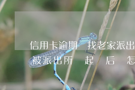 信用卡逾期會找老家派出所嗎(因信用卡逾期被派出所關起來后會怎么樣)