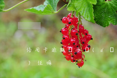 信用卡逾期會承擔(dān)法律責(zé)任嘛