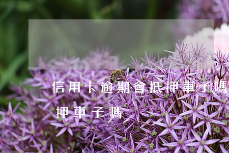 信用卡逾期會抵押車子嗎-信用卡逾期會抵押車子嗎