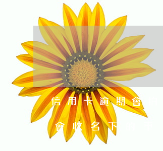 信用卡逾期會拍賣名下車子嗎(欠信用卡會不會收名下的車)