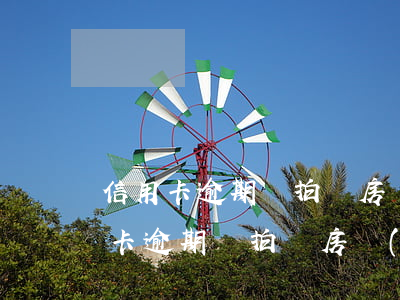 信用卡逾期會拍賣房產(chǎn)嗎(信用卡逾期會拍賣房產(chǎn)嗎?)