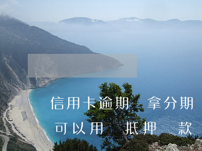 信用卡逾期會拿分期車抵押嗎(有信用卡逾期,可以用車抵押貸款嗎?)