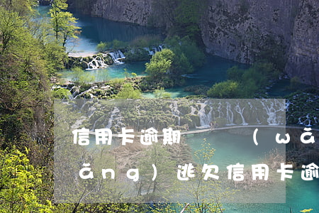 信用卡逾期會掛網(wǎng)成為網(wǎng)逃(欠信用卡逾期多久會被網(wǎng)上通緝)