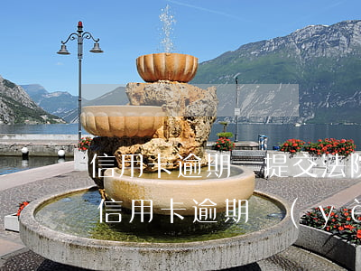 信用卡逾期會提交法院嗎(法院什么情況受理信用卡逾期業(yè)務(wù))