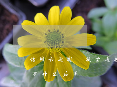 信用卡逾期會提前通知嗎(銀行卡信用卡逾期有什么后果)