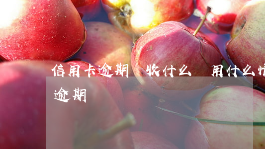 信用卡逾期會收什么費用(什么情況算信用卡逾期)
