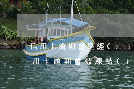 信用卡逾期會是經(jīng)濟案嗎 欠信用卡逾期會被凍結(jié)所有資產(chǎn)嗎