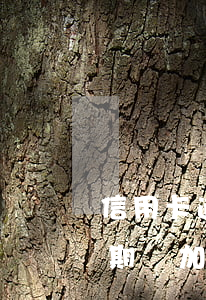 信用卡逾期會有刑事責任么(因服刑信用卡逾期會加刑嗎)
