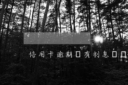 信用卡逾期會有利息嗎 銀行卡逾期有利息嗎