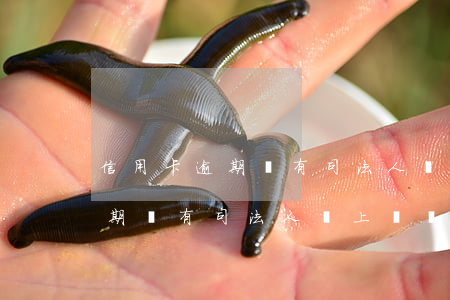 信用卡逾期會有司法人員上門嗎-信用卡逾期會有司法人員上門嗎知乎