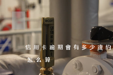 信用卡逾期會有多少違約金(欠信用卡違約金怎么算)