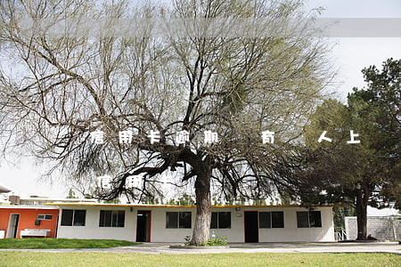 信用卡逾期會有專人上門嗎(逾期的人可以辦信用卡嗎)