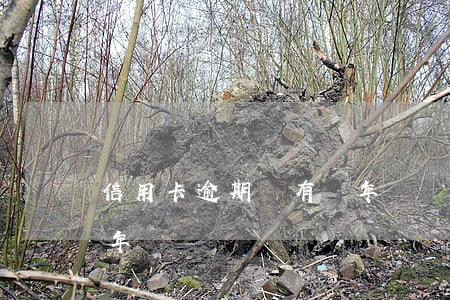 信用卡逾期會有幾年記錄(信用卡逾期會有幾年記錄)