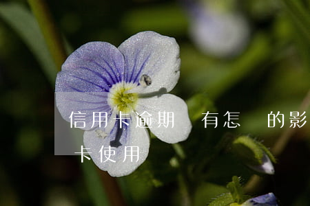 信用卡逾期會有怎樣的影響(逾期會影響信用卡使用嗎)