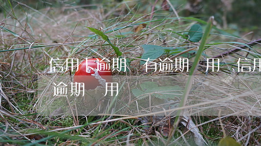 信用卡逾期會有逾期費用嗎(信用卡逾期會有逾期費用嗎)