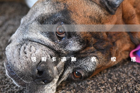 信用卡逾期會有風控嗎(信用卡逾期風險)