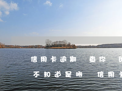 信用卡逾期會查你別的卡嗎(說信用卡有逾期,不知道是哪張信用卡)