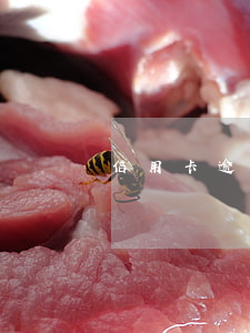 信用卡逾期會查到公司嗎(辦信用卡會查公司嗎)