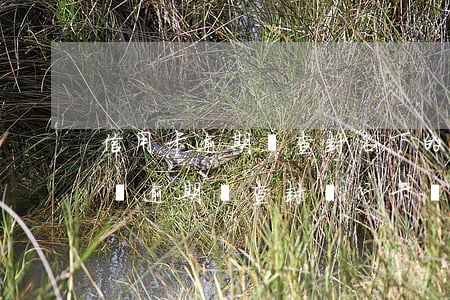 信用卡逾期會查封名下的財產(chǎn)嗎(逾期會查封銀行卡嗎)