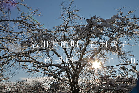 信用卡逾期會查封房子還沒有住嗎(欠信用卡會查封房產(chǎn)嗎)