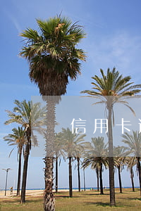 信用卡逾期會止付嗎嗎(逾期了信用卡會降額嗎)