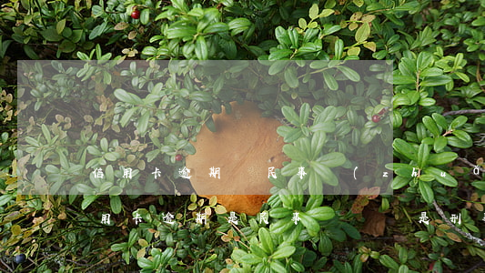 信用卡逾期會民事轉(zhuǎn)刑事(信用卡逾期是民事糾紛還是刑事糾紛)