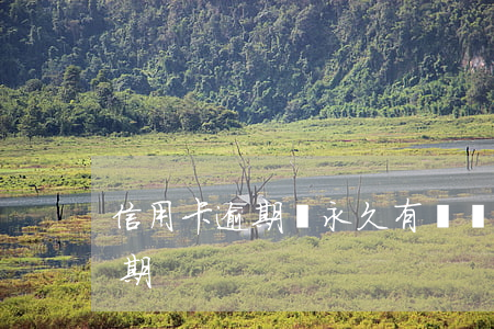 信用卡逾期會永久有記錄嗎(長時間信用卡逾期)