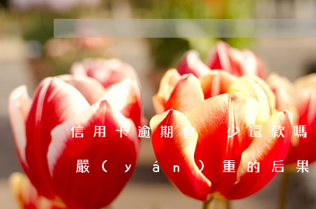 信用卡逾期會減少還款嗎(信用卡逾期不還最嚴(yán)重的后果是什么)