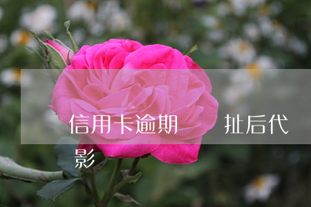 信用卡逾期會牽扯后代嗎(信用卡 曾經有逾期 影響)