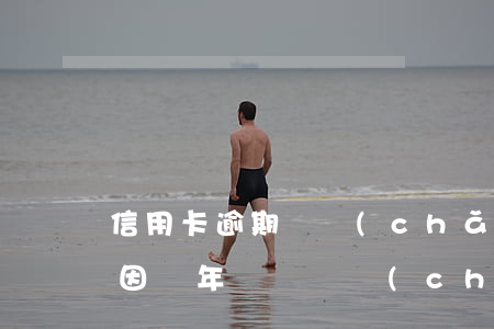 信用卡逾期會產(chǎn)生其他費用嗎(因為年費問題產(chǎn)生的信用卡逾期可以消除嗎)