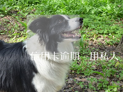 信用卡逾期會用私人電話通知嗎-