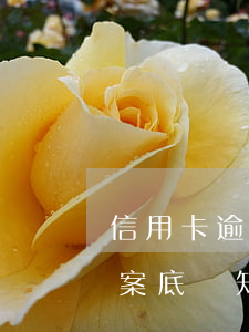 信用卡逾期會留下案底嗎(信用卡逾期會留下案底嗎知乎)