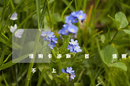 信用卡逾期會登門嗎(信用卡5000逾期會不會上門)