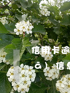 信用卡逾期會發(fā)信息給你么 發(fā)信息說起訴我信用卡逾期是真的還是催收