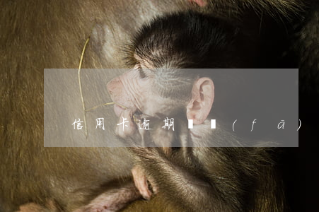 信用卡逾期會發(fā)訴前審查嗎
