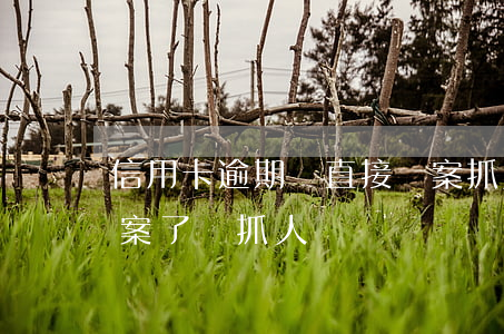 信用卡逾期會直接報案抓人嗎(欠信用卡被報案了會抓人嗎)